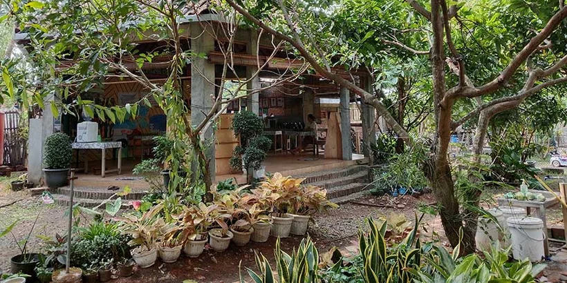 Perjalanan Praktik Permakultur di Peace Place Pati