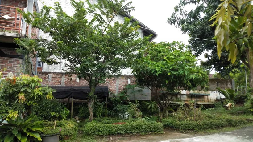 Pusat Pelatihan Peace Place Menanam Pohon Buah