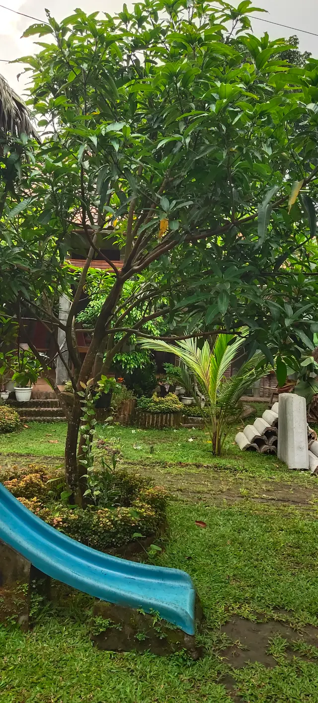 Peace Place Training Center Plants Fruit Trees