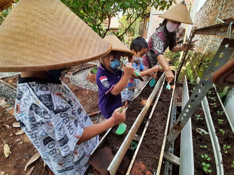 Peace Place Blossoms with Permaculture Designs