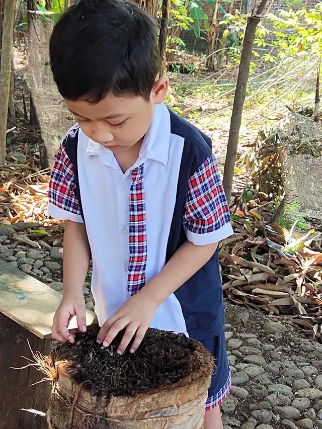 Peace Place Blossoms with Permaculture Designs