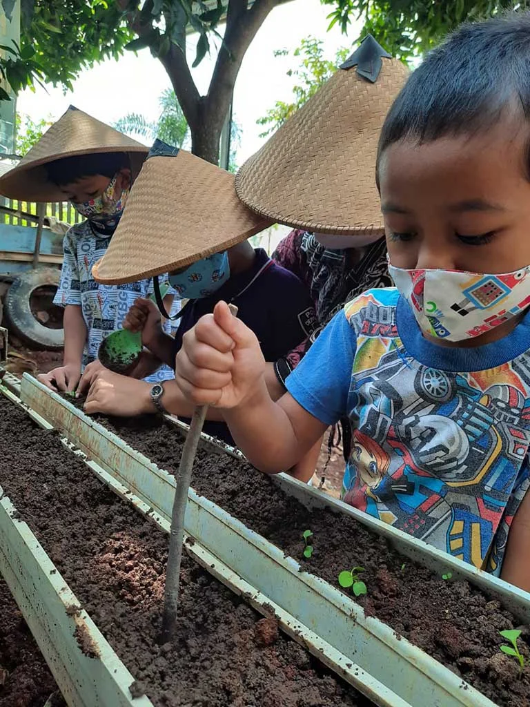Peace Place Blossoms with Permaculture Designs