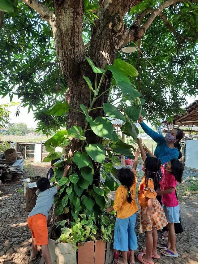 Peace Place Blossoms with Permaculture Designs