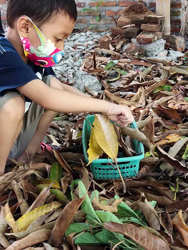 Peace Place Blossoms with Permaculture Designs