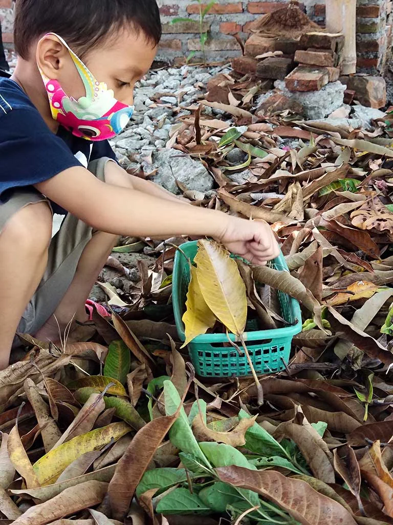 Peace Place Blossoms with Permaculture Designs