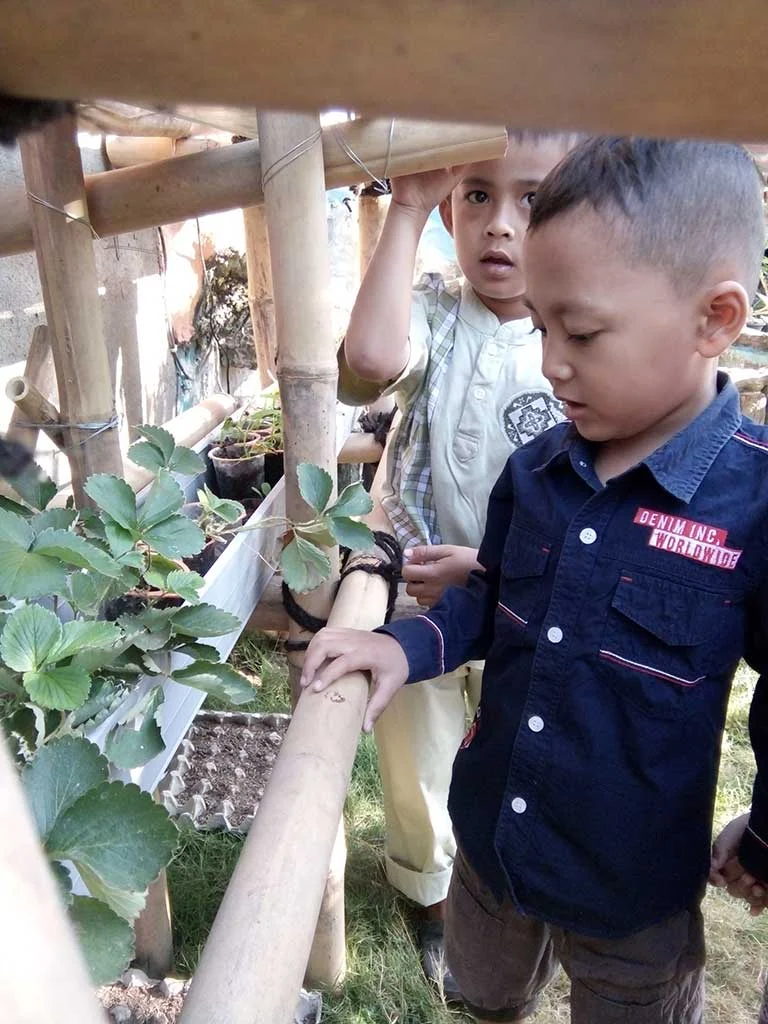 Creating a Sustainable Culture of Peace: Curriculum at Joglo Preschool