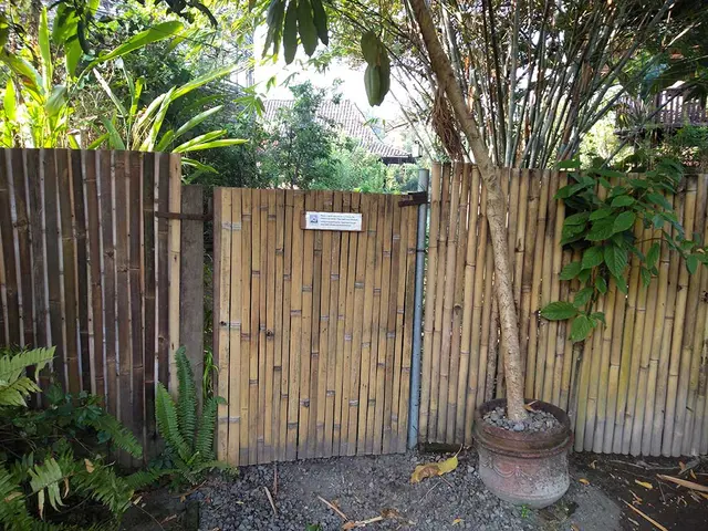 Looking at Permaculture Practices in Yogyakarta