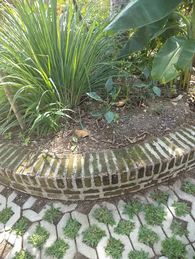 Looking at Permaculture Practices in Yogyakarta