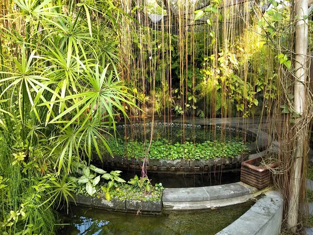 Looking at Permaculture Practices in Yogyakarta