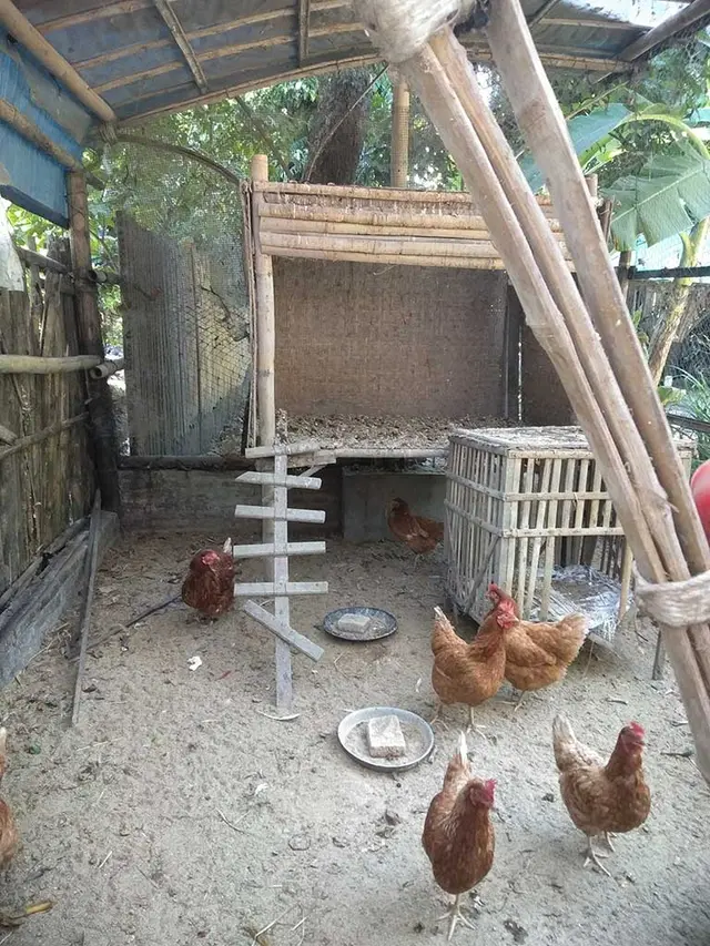 Looking at Permaculture Practices in Yogyakarta