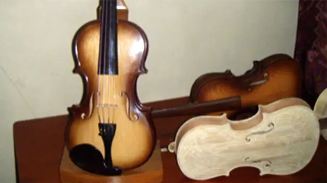 Violin, Conservation, and Peace Building