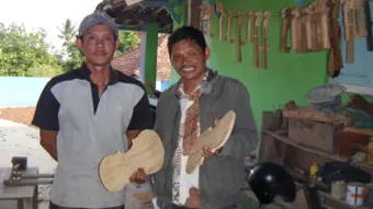 Violin, Conservation, and Peace Building