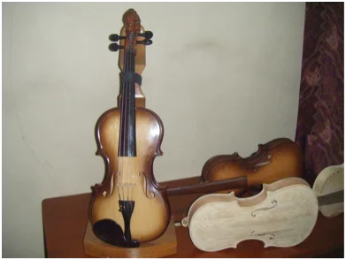 Violin, Conservation, and Peace Building