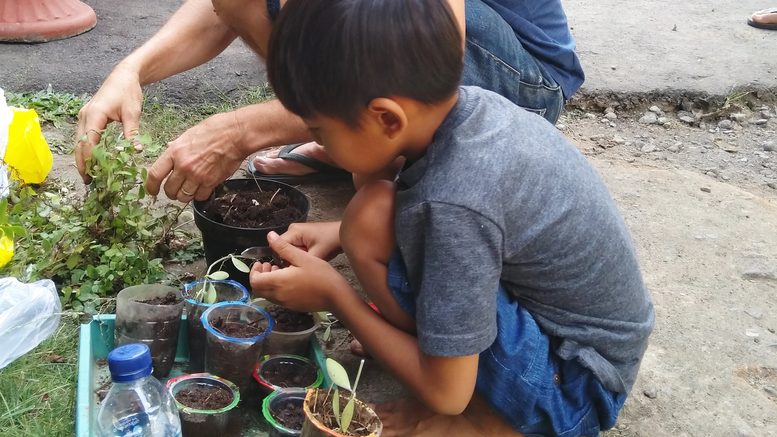 Making Peace with the Earth at Peace Place