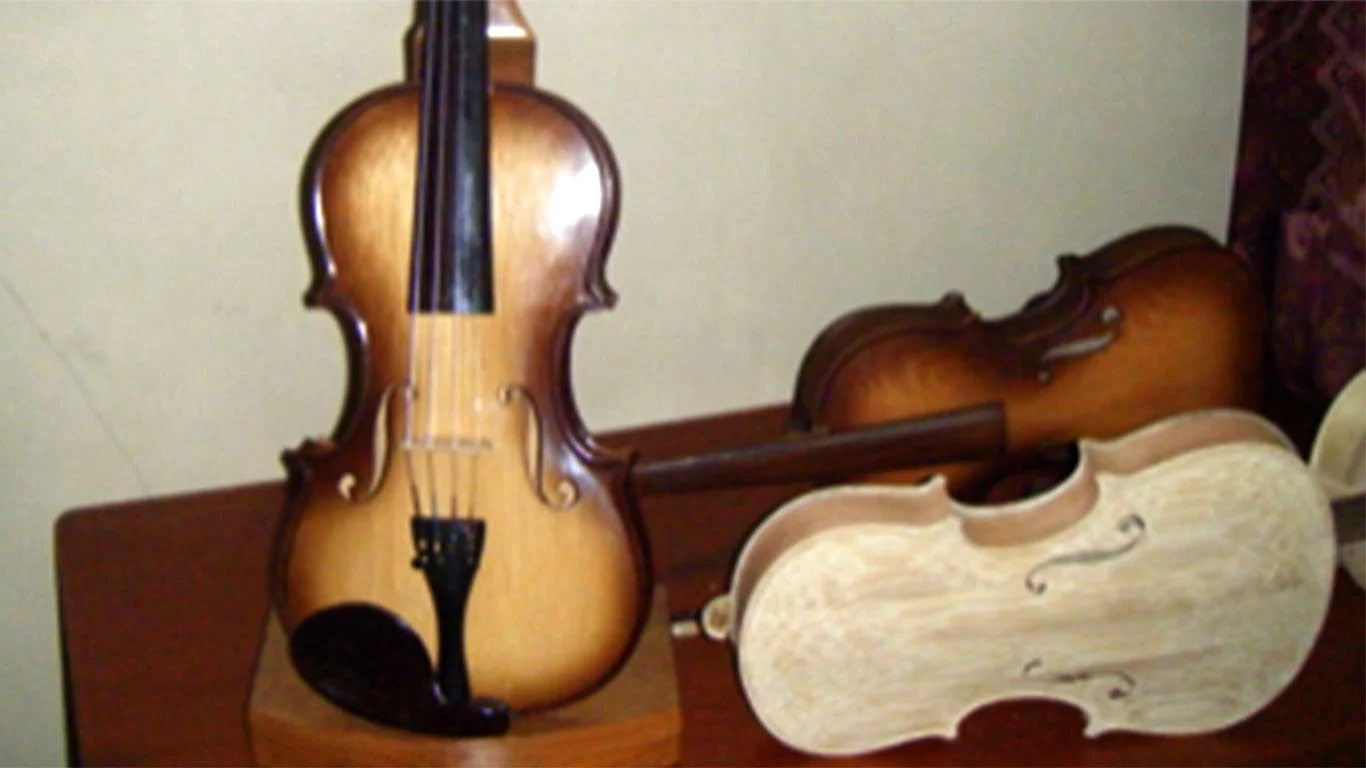 Violin, Conservation, and Peace Building